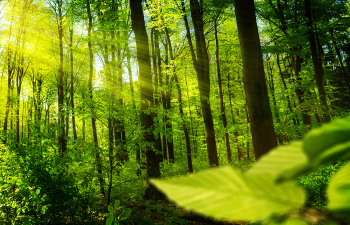 newhaven sustainability